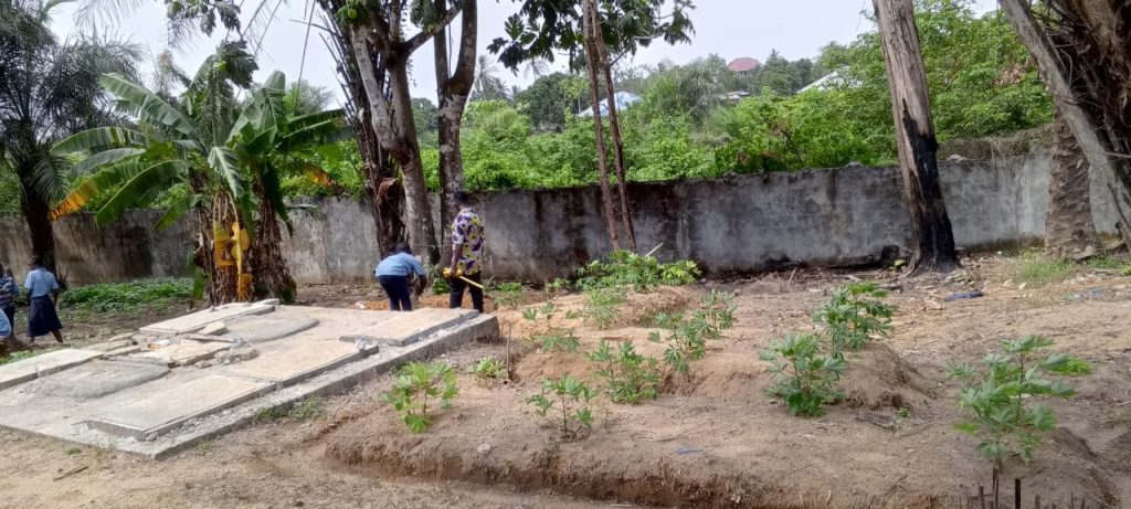 Part of the school garden at Damiefa School