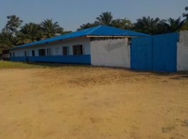 Damiefa School - compound
